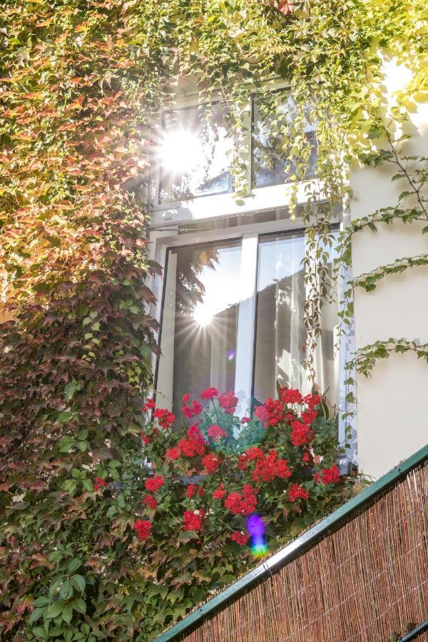 Cracow Best Location Apartment With Garden By Cozyplace Krakow Exterior photo